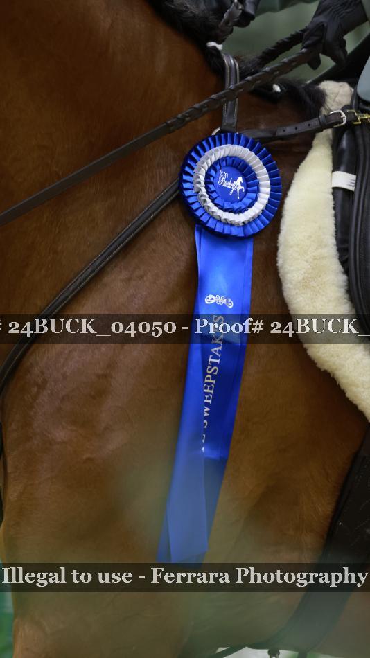 Proof 24BUCK_04050