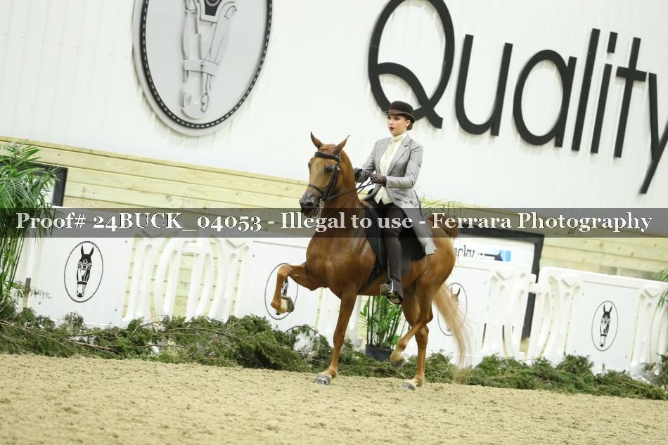Proof 24BUCK_04053