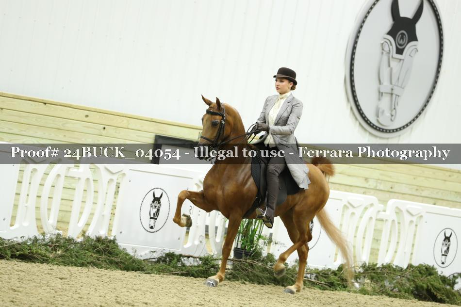 Proof 24BUCK_04054