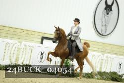 24BUCK_04054 proof