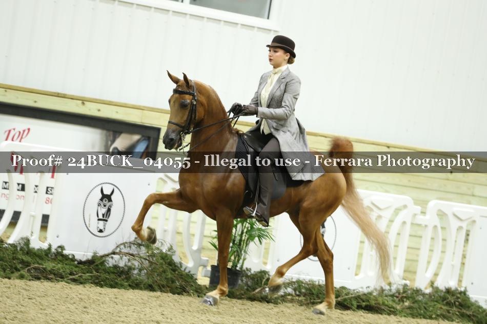 Proof 24BUCK_04055