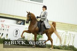 24BUCK_04055 proof