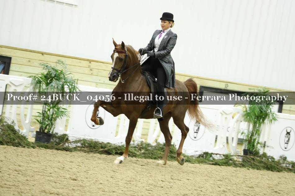 Proof 24BUCK_04056