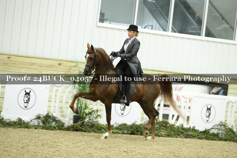 Proof 24BUCK_04057