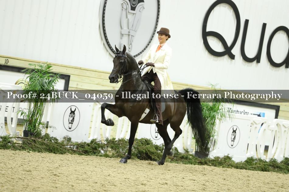 Proof 24BUCK_04059