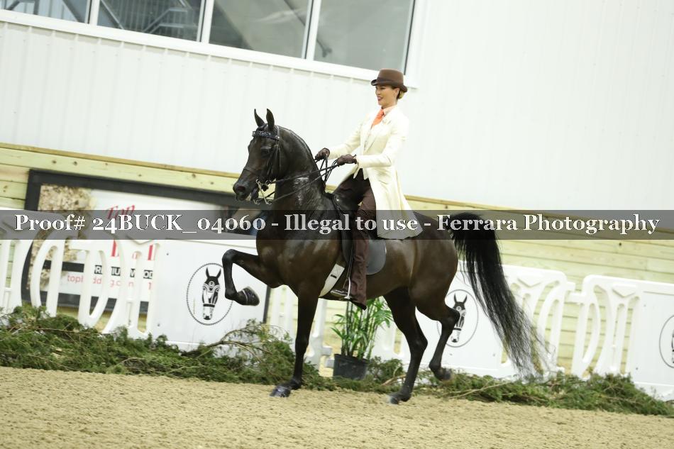 Proof 24BUCK_04060