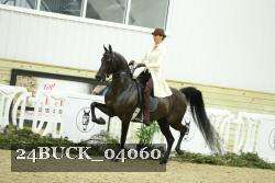 24BUCK_04060 proof