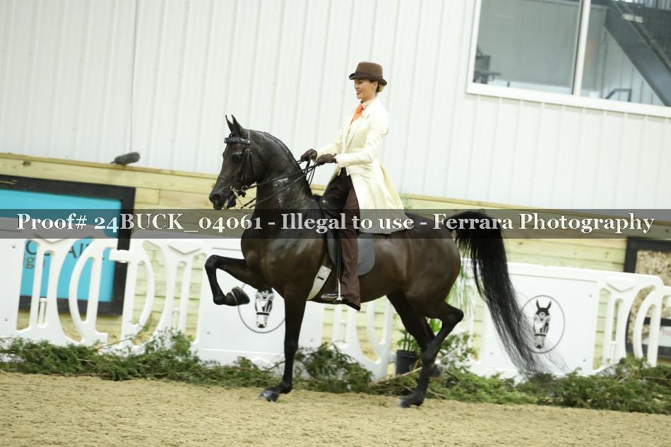 Proof 24BUCK_04061