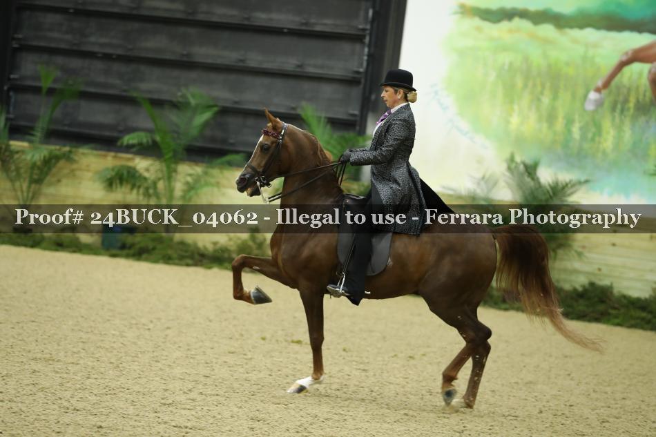 Proof 24BUCK_04062