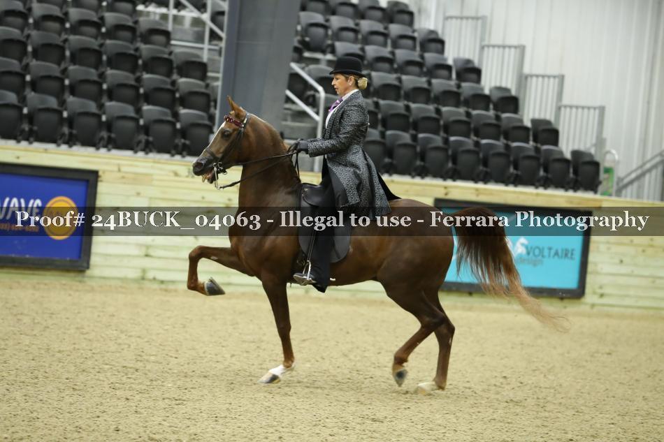 Proof 24BUCK_04063