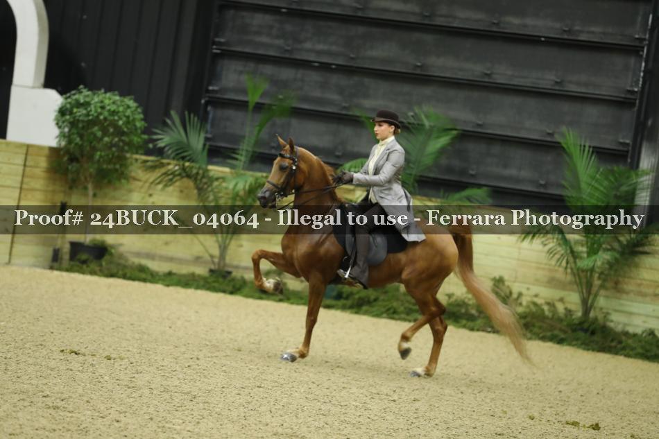 Proof 24BUCK_04064