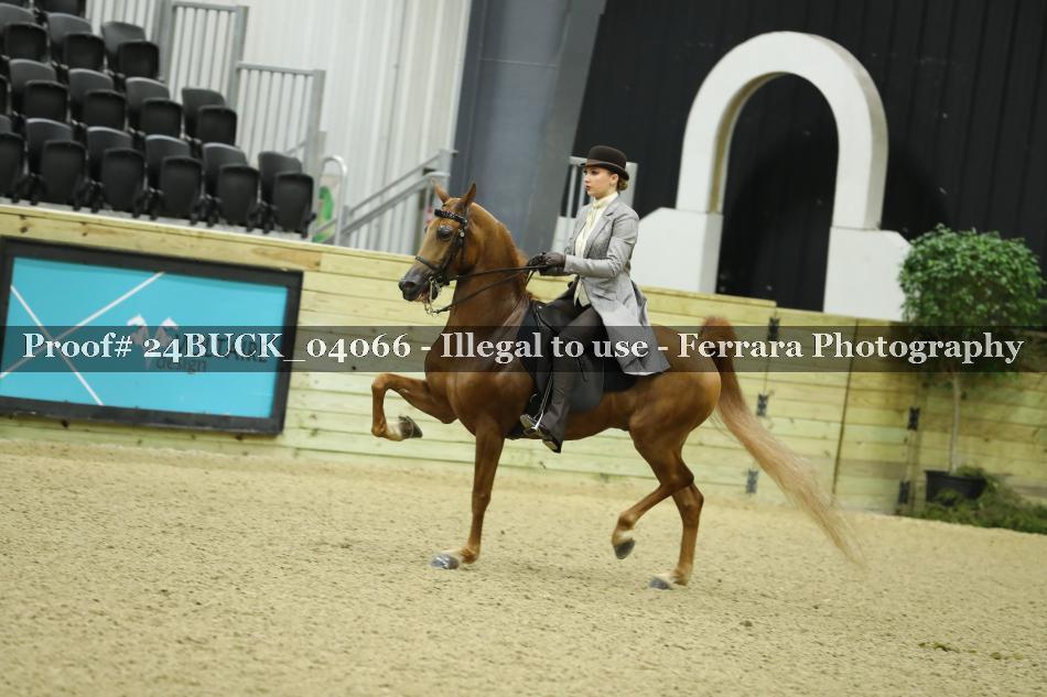 Proof 24BUCK_04066
