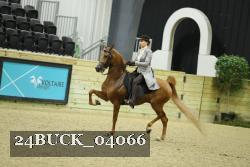 24BUCK_04066 proof