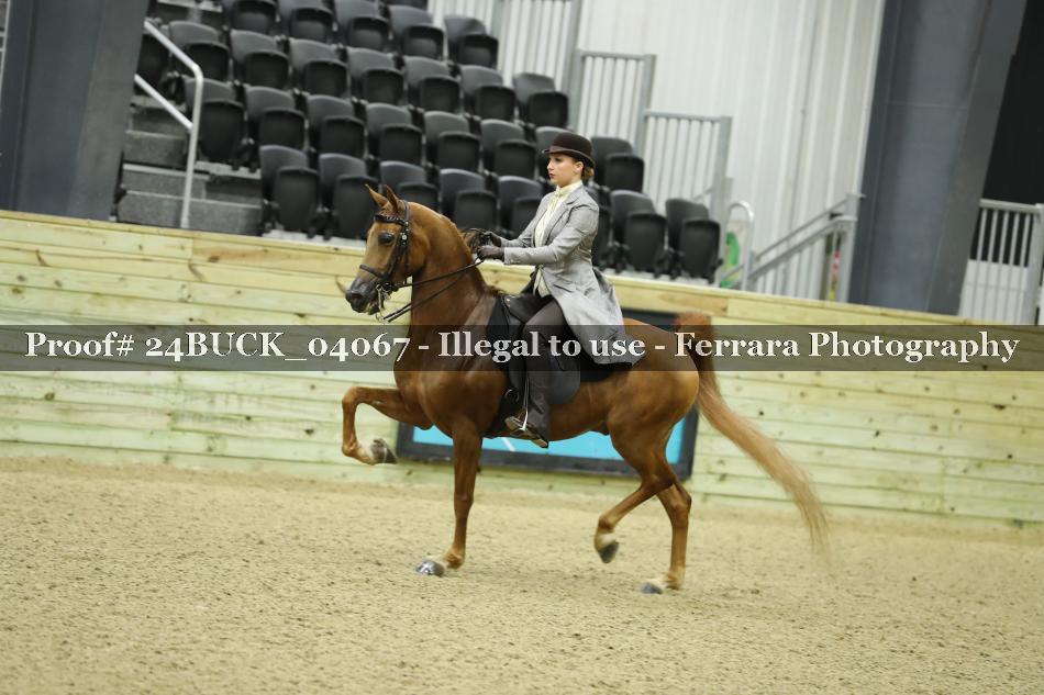 Proof 24BUCK_04067