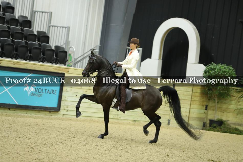 Proof 24BUCK_04068