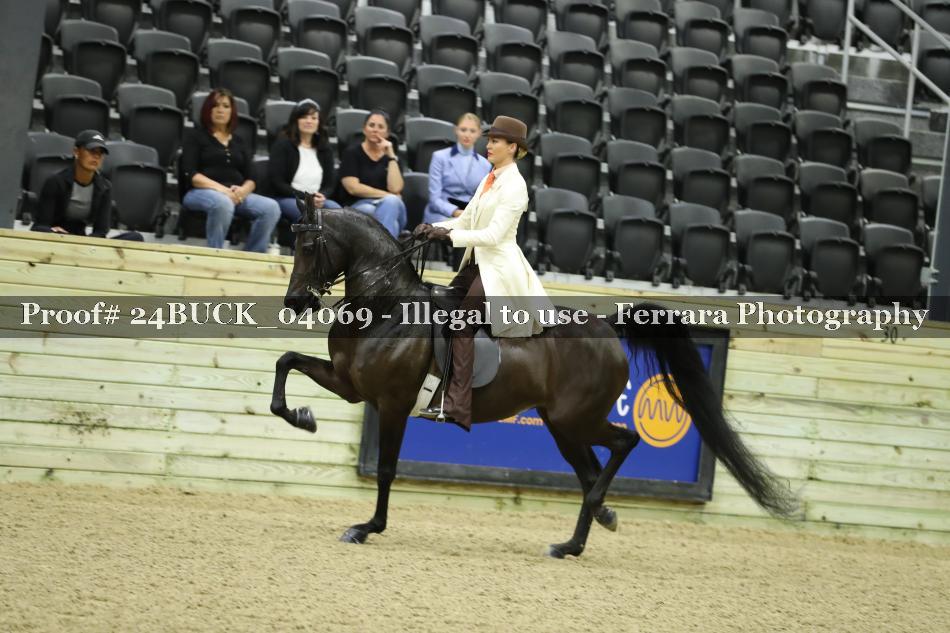 Proof 24BUCK_04069