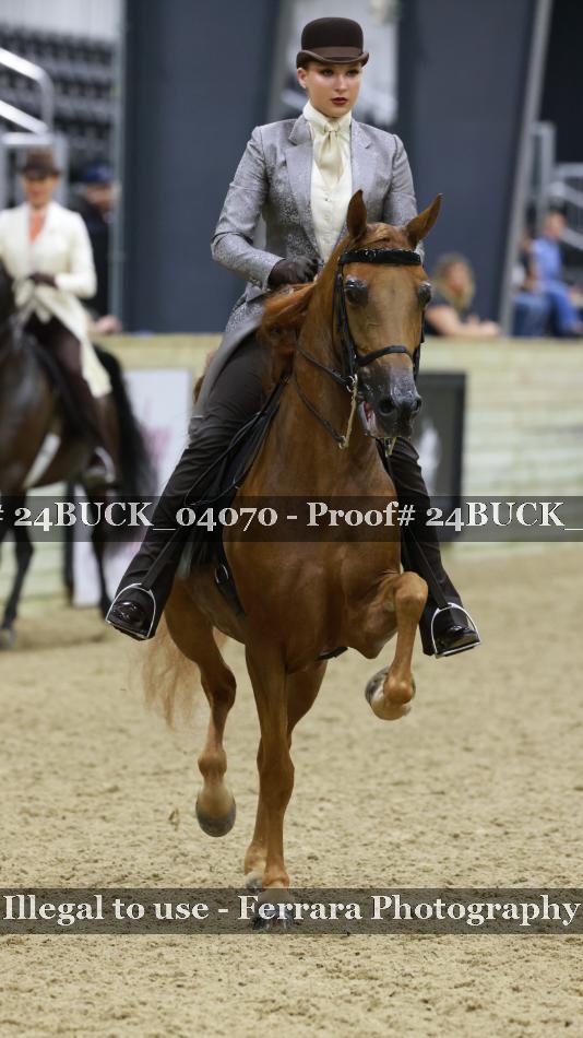 Proof 24BUCK_04070