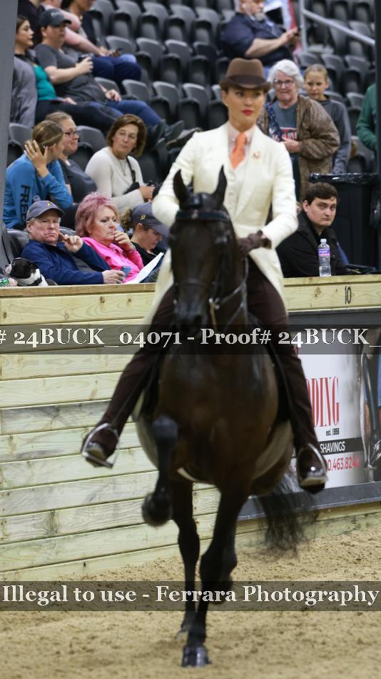 Proof 24BUCK_04071
