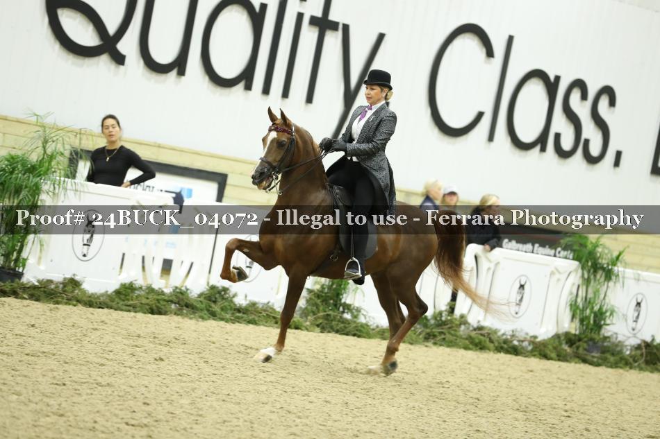 Proof 24BUCK_04072