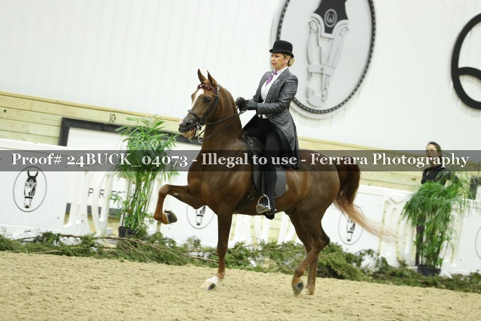 Proof 24BUCK_04073