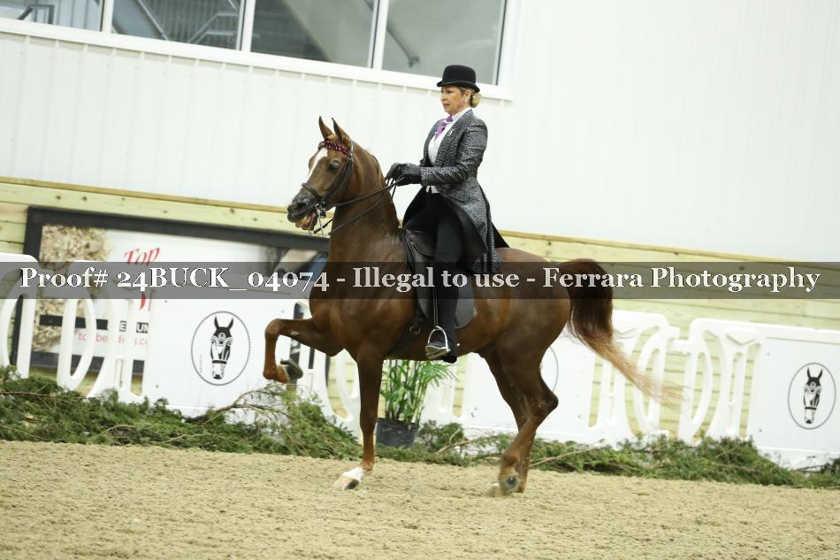 Proof 24BUCK_04074