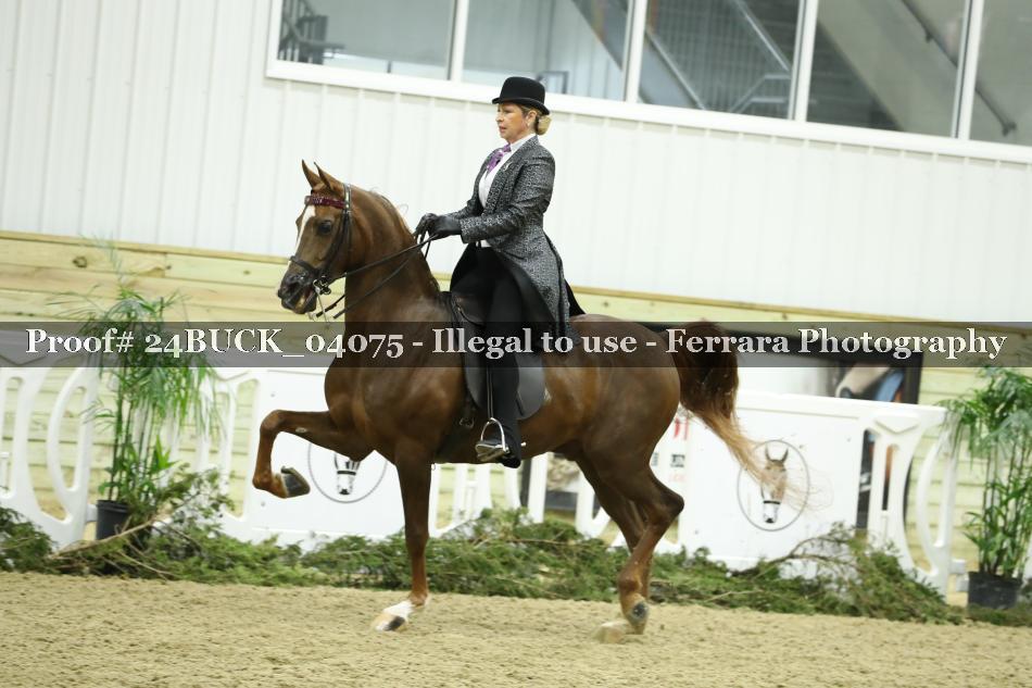 Proof 24BUCK_04075