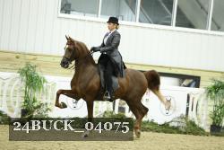 24BUCK_04075 proof