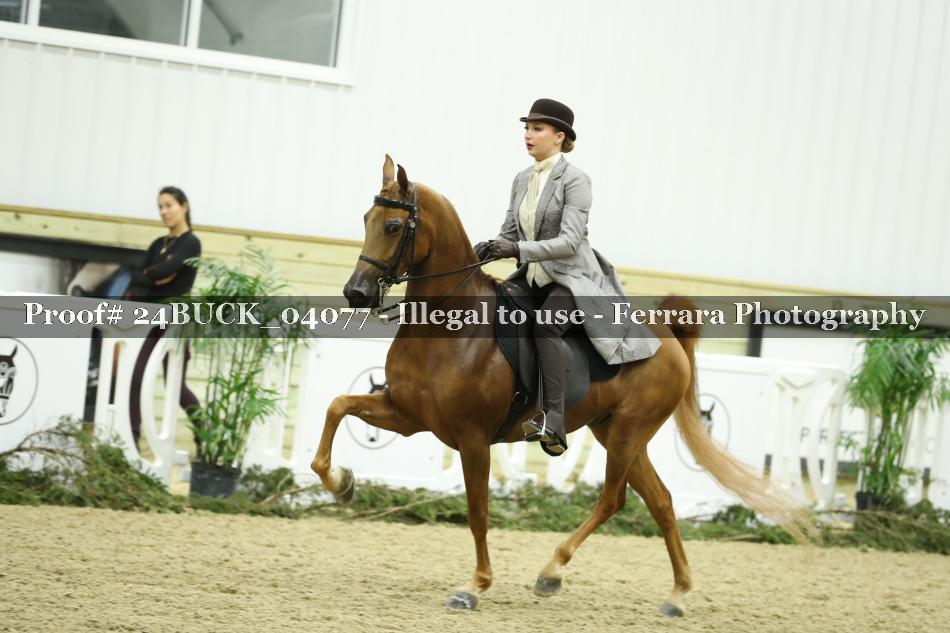 Proof 24BUCK_04077