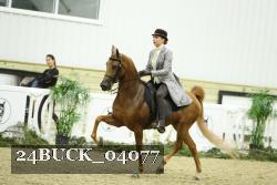 24BUCK_04077 proof