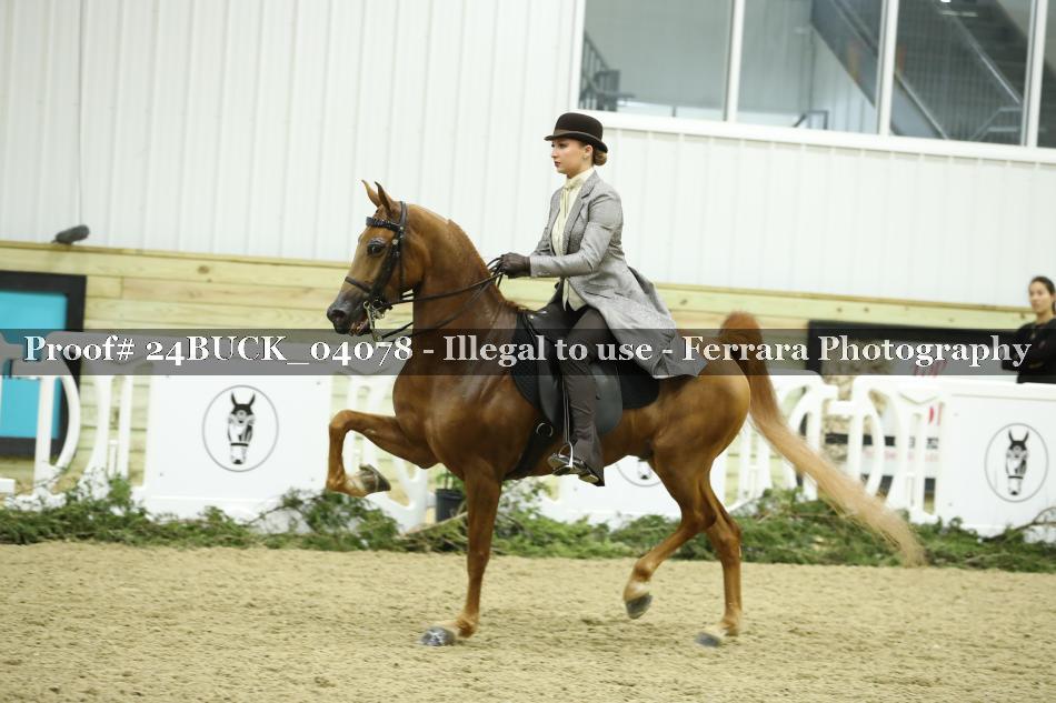 Proof 24BUCK_04078