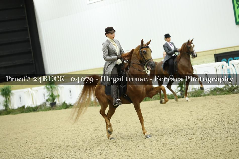 Proof 24BUCK_04079