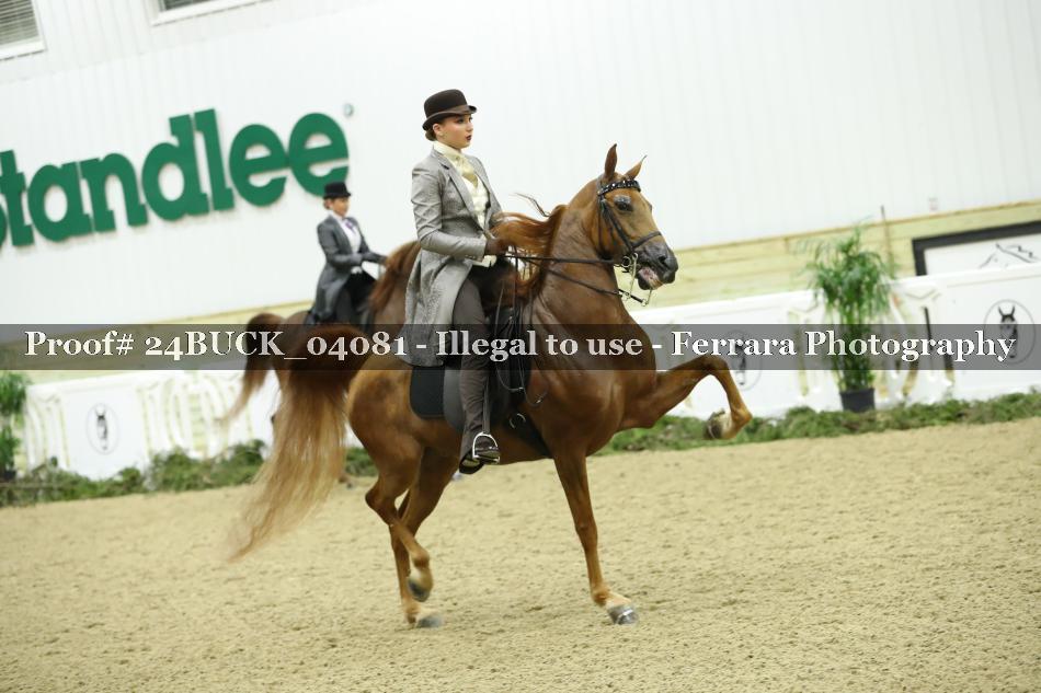 Proof 24BUCK_04081