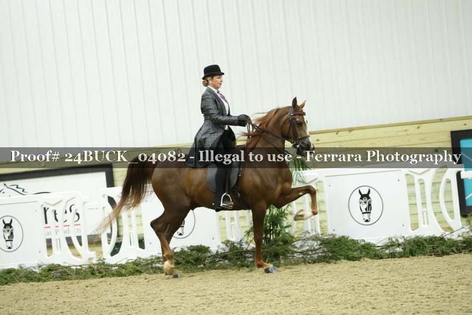Proof 24BUCK_04082