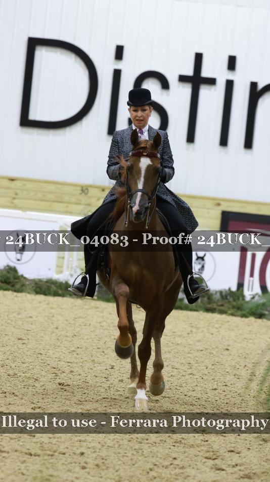 Proof 24BUCK_04083