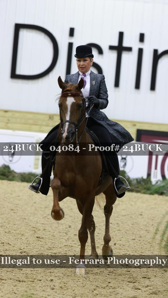 Proof 24BUCK_04084
