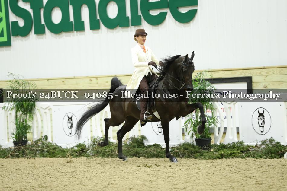 Proof 24BUCK_04085