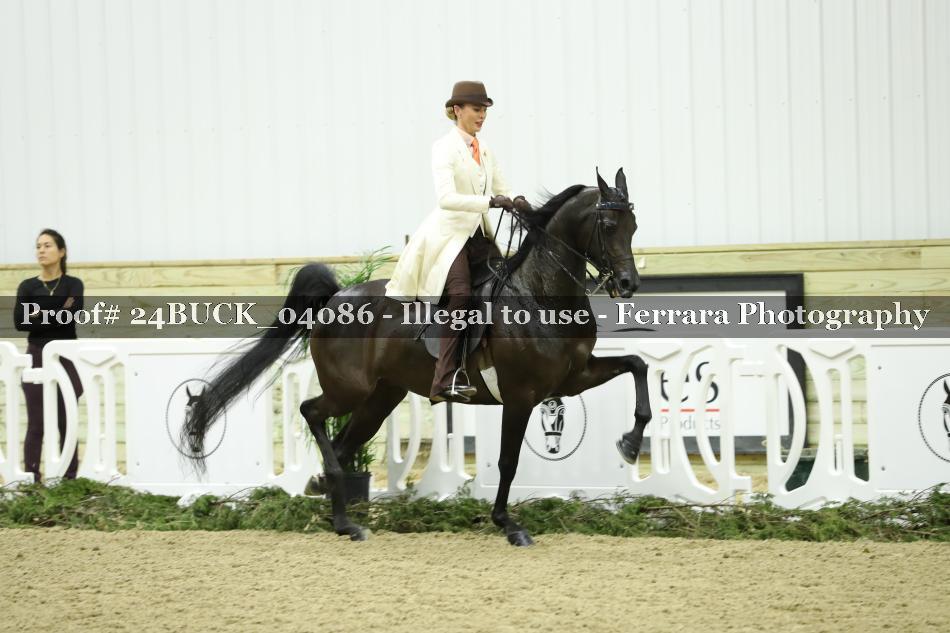 Proof 24BUCK_04086