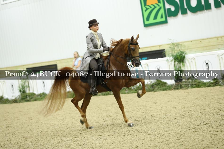 Proof 24BUCK_04087