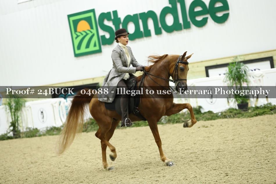 Proof 24BUCK_04088