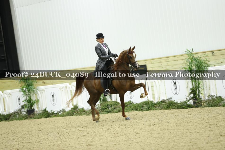 Proof 24BUCK_04089