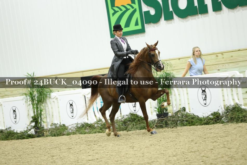 Proof 24BUCK_04090