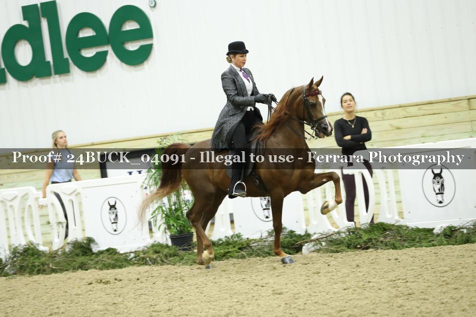 Proof 24BUCK_04091