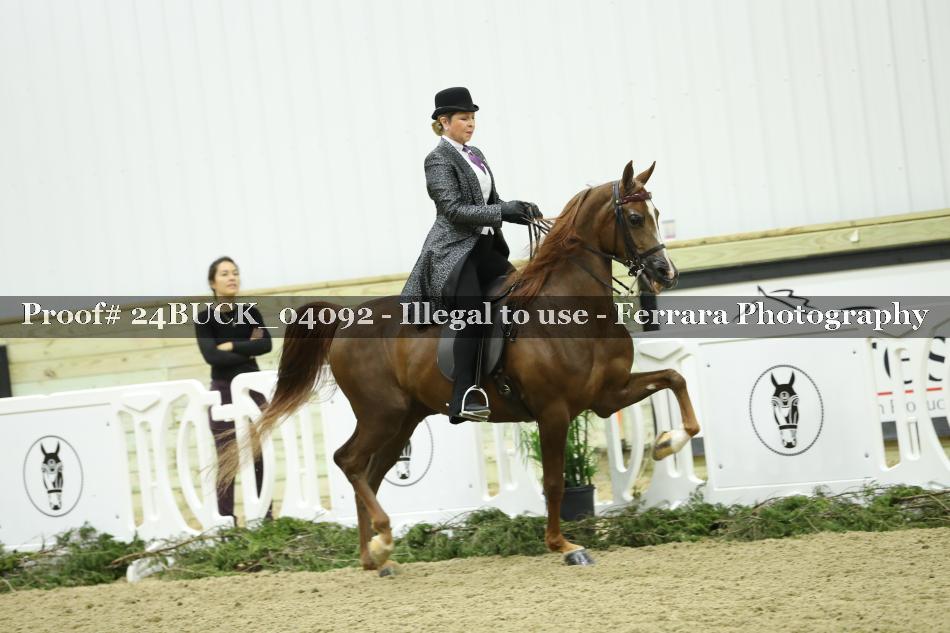 Proof 24BUCK_04092