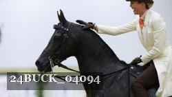 24BUCK_04094 proof