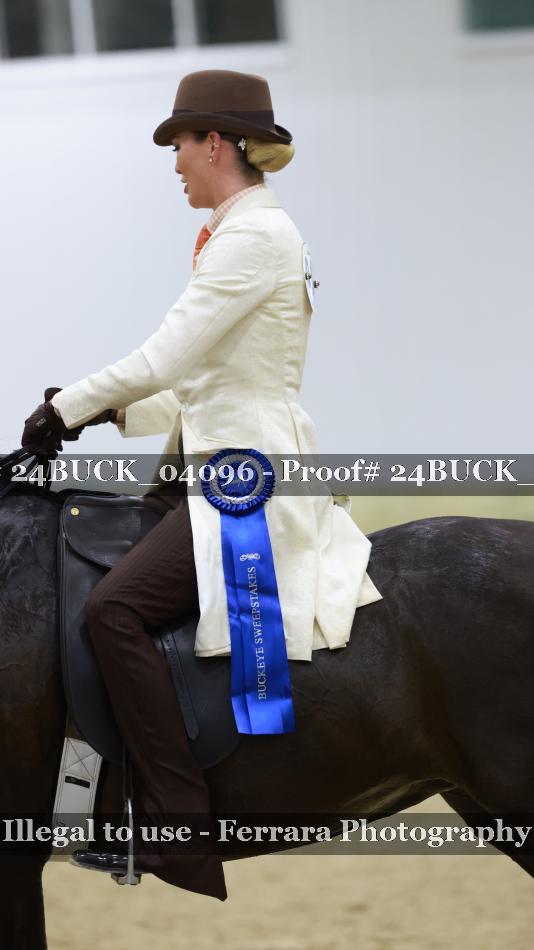Proof 24BUCK_04096