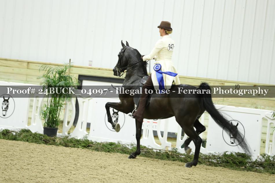 Proof 24BUCK_04097