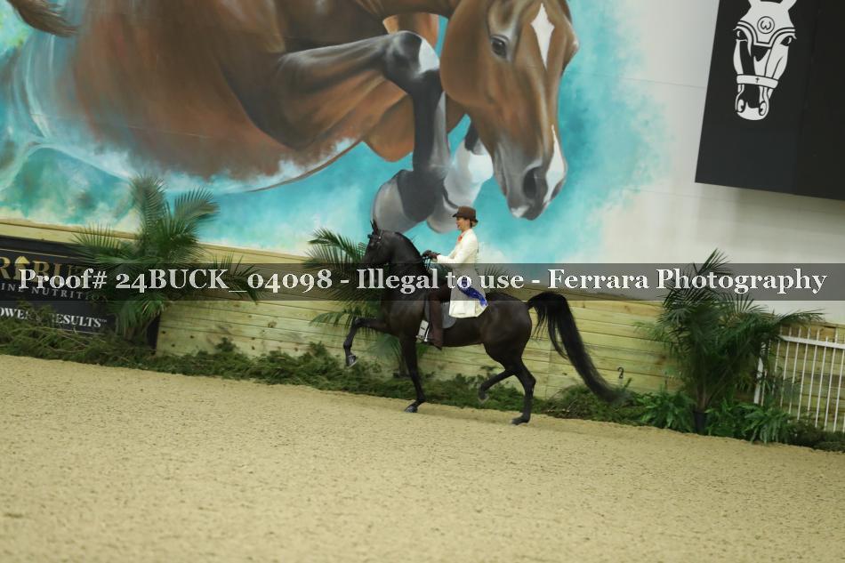 Proof 24BUCK_04098