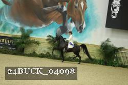24BUCK_04098 proof