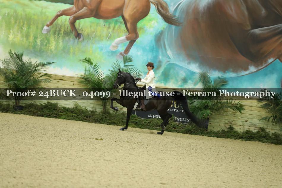 Proof 24BUCK_04099