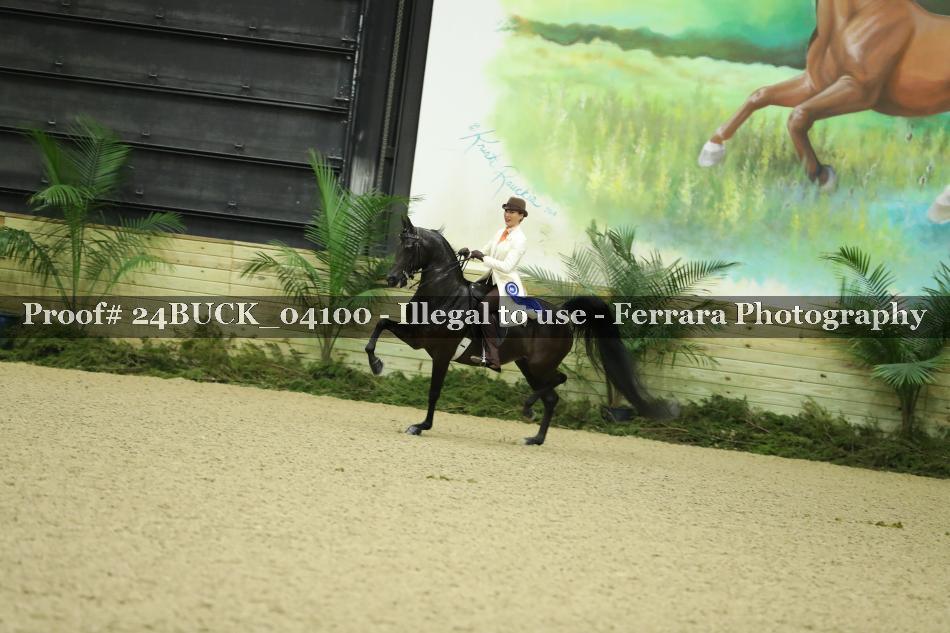 Proof 24BUCK_04100
